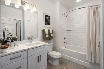 Garden tub shower
